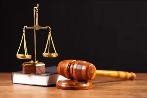 Different Types of Law: A Beginner’s Guide to Legal Fields