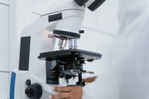 The Science Behind Addictive Reward Loops